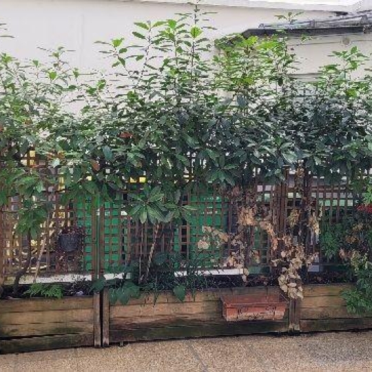  Annonces SARTROUVILLE : Appartement | PARIS (75017) | 17 m2 | 150 000 &euro; 