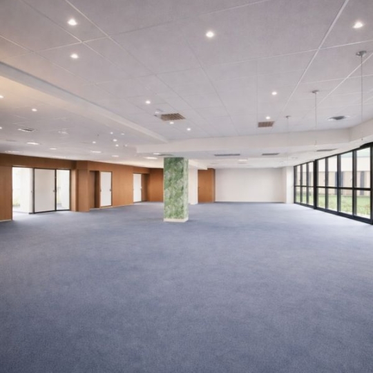  Annonces SARTROUVILLE : Local / Bureau | SAINT-DENIS (93200) | 425 m2 | 4 250 &euro; 
